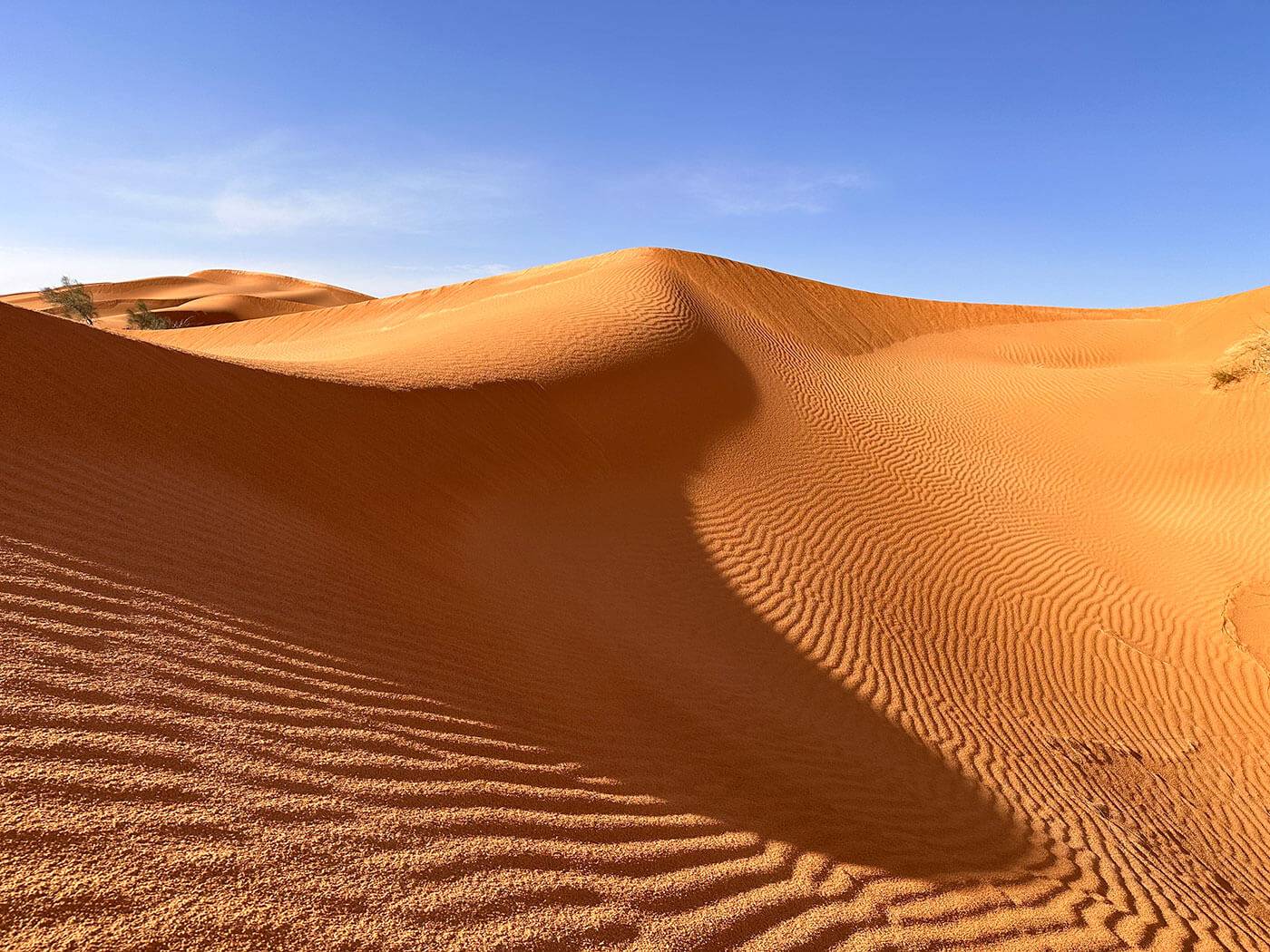 Tunisia