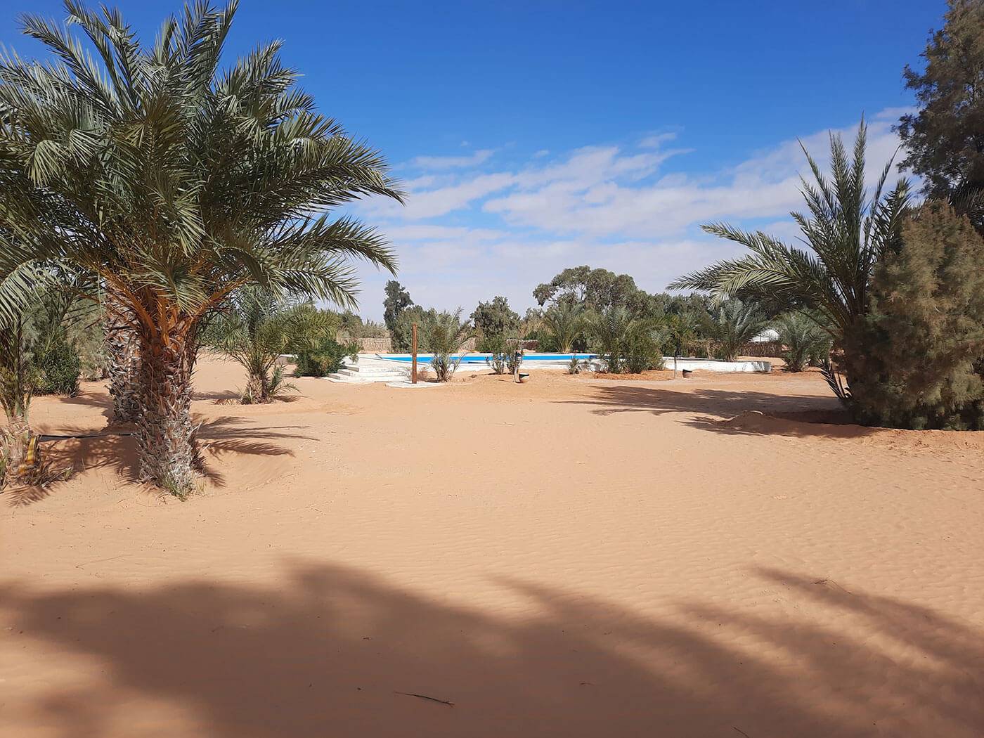 Tunis