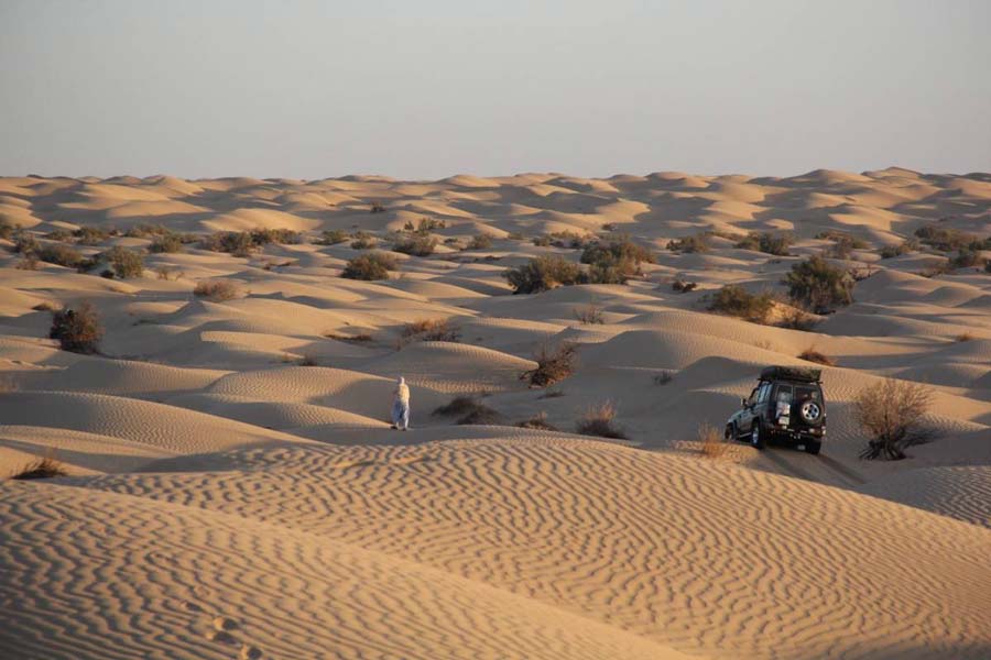Sif es Souan — Les Grandes Dunes de Tunisie
